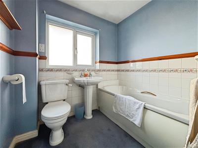 Picture 15